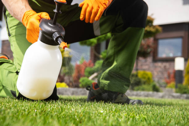 Professional Pest Control in Anderson, IN